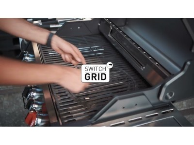 SWITCH GRID