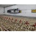 Biemmedue GA/N 45 C, 45 kW