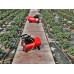 Biemmedue GP 45A-C с авто поджигом, 46 кВт
